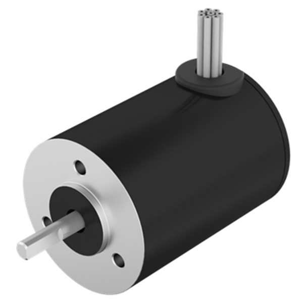 Brushless Motor