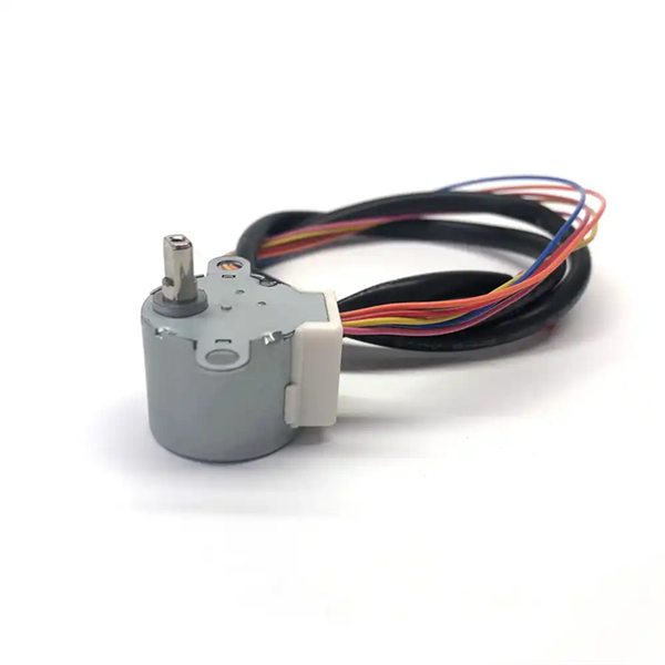 Micro Motor